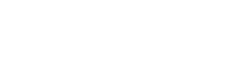 SVI-Media